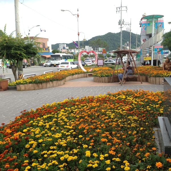 꽃과 장독대 이미지 3