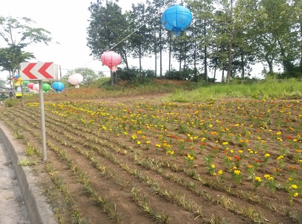 고려시멘트 앞 공터가 이렇게 바뀌었습니다. 이미지 2