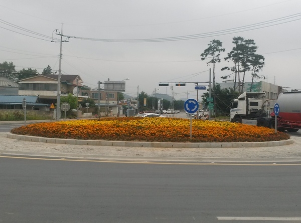 모두에게 꽃기운을~ 이미지 1