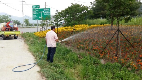 서삼 입구 용흥리화단 이미지 2