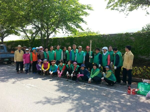 장성군새마을회 옐로우시티 꽃동산조성(1차) 이미지 3