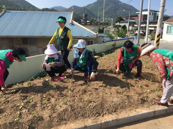 황룡면 새마을부녀회 옐로우시티 거버넌스로... 이미지 1