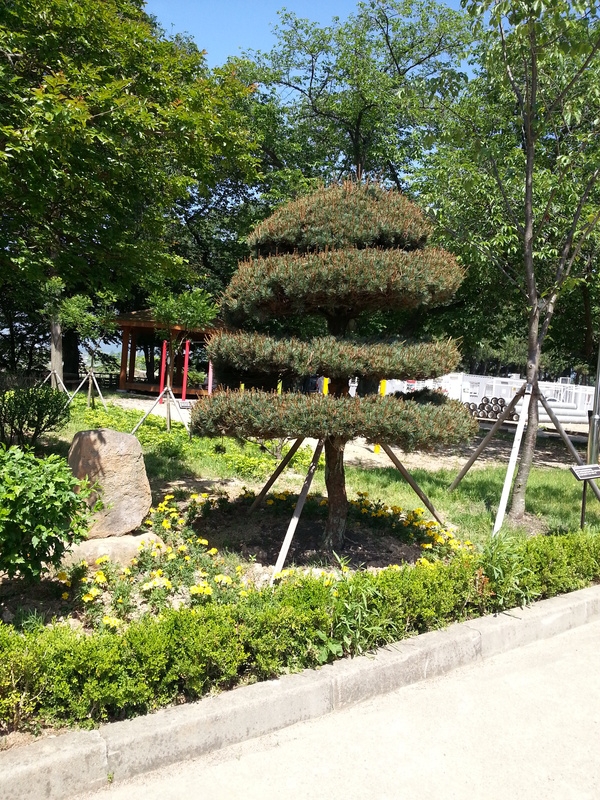 옐로우시티 조성지 (유관기관 - 장성 남중학교, 분향초등학교 참여) 이미지 3