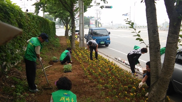 장성군새마을회 옐로우시티 꽃동산조성(2차) 이미지 3