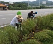 2016년 옐로우시티를 준...