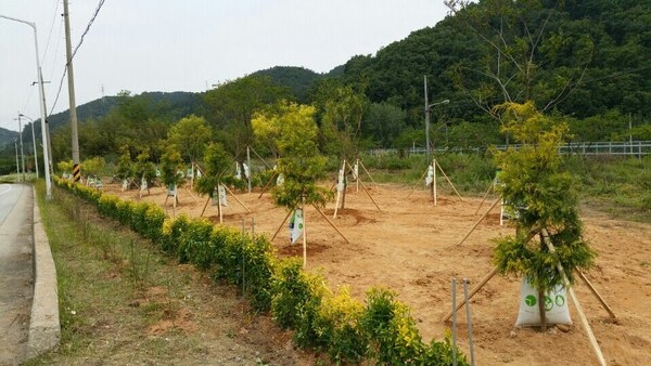 산림조합 옐로우 시티 조성 이미지 2