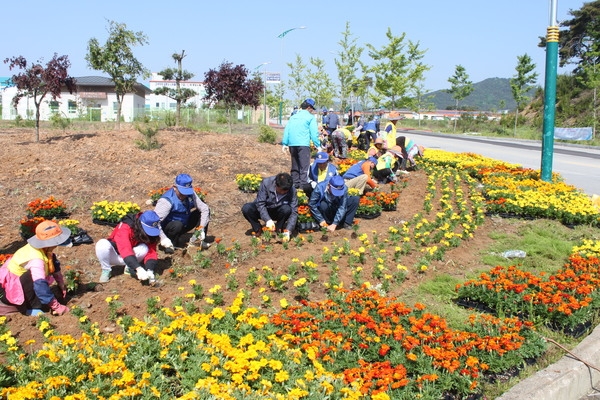 동화전자종합농공단지 옐로우시티 꽃동산 조성 현장 이미지 1