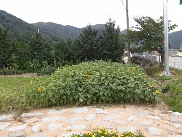 이것이 옐로우 시티다~약수리 쌈지공원 이미지 5
