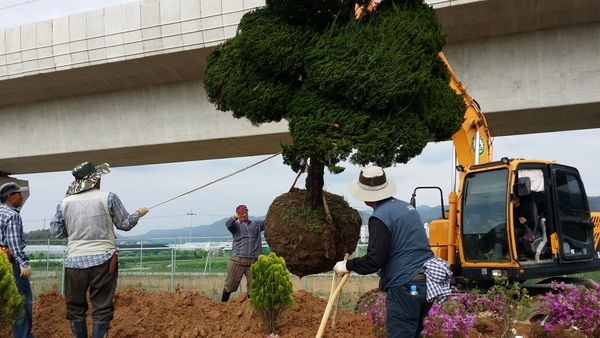 황룡 청년회와 함께한 장산리 옐로우 소공원 조성 과정 이미지 3