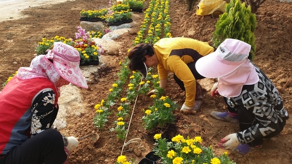 황룡 청년회와 함께한 장산리 옐로우 소공원 조성 과정 이미지 4