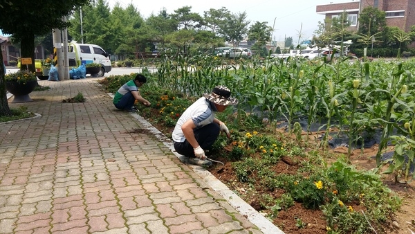 다시 노란색으로 색칠했어요~ ^^ 이미지 3