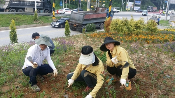 옐로우방위대 출동~^^ 이미지 2