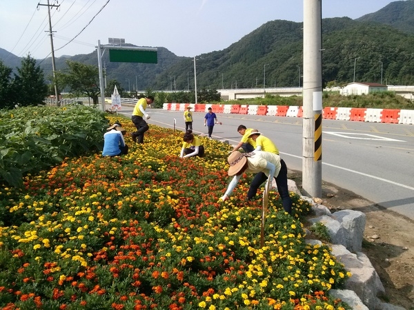 약수리 쌈지공원 가꾸기 이미지 4