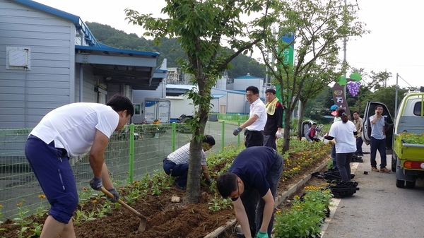 진원농협장님과 직원 + 면사무소 합동작전 이미지 2