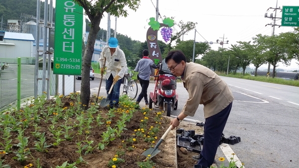 진원농협장님과 직원 + 면사무소 합동작전 이미지 1