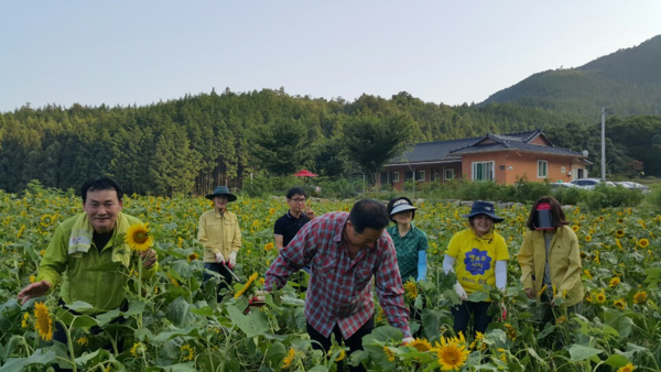 지금은 휴식시간~ 이미지 1