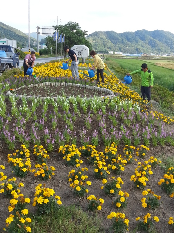 박산사거리 예쁜 꽃밭에 더운날은 단물도 다같이~ 이미지 2