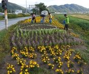 박산사거리 예쁜 꽃밭에 더...