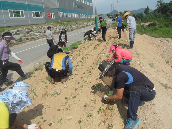 동화전자농공단지협의회가 조성하는 옐로우시티 장성  이미지 4