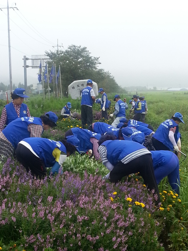 바르게살기 협의회 북일면 위원회 회원과  거버넌스 구축 , 박산사거리 옐 로우시티 활동전개 사진입니다. 이미지 3