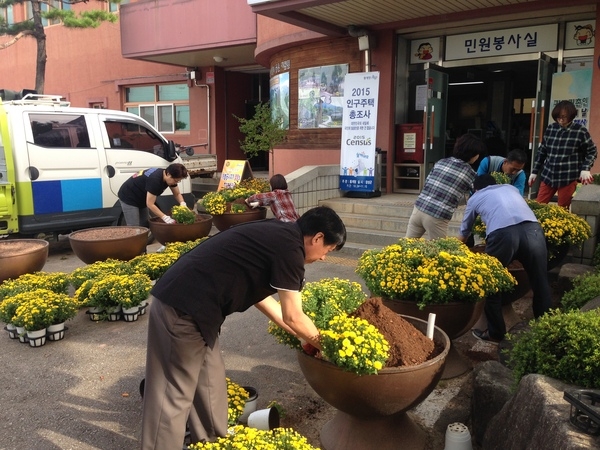 가을꽃 국화식재 이미지 1