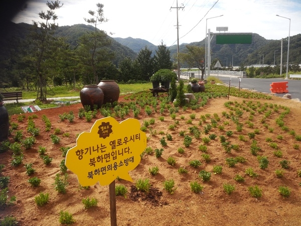 약수리 쌈지공원 가을단장 이미지 2