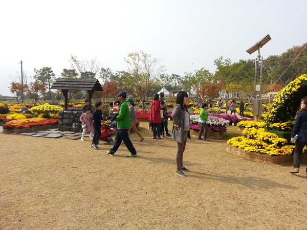 노란꽃잔치에  서삼초등학교 친구들도 함께~ 이미지 2