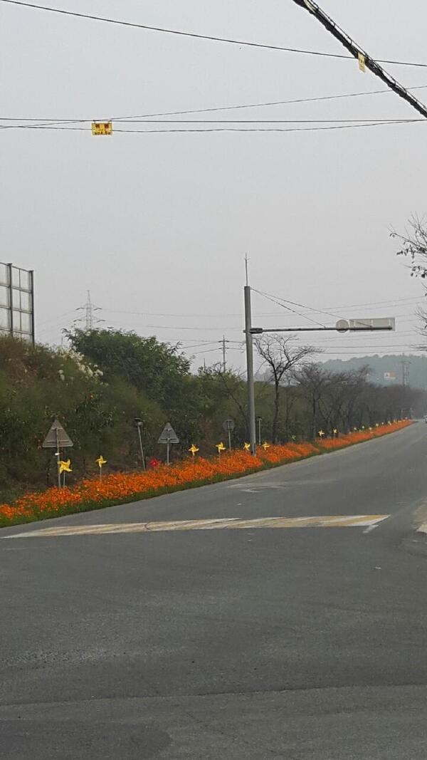 어린이들과 함께하는 옐로우시티 이미지 3