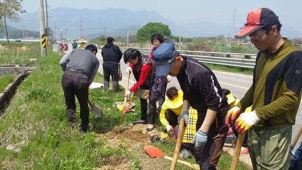 진원면 생활개선회 회원과 함께한  나무식재 이미지 2