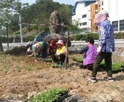 기산2리 산들가든 앞 금계...