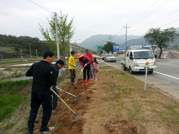 북이면 백양사 IC옆 JC동산 이미지 1