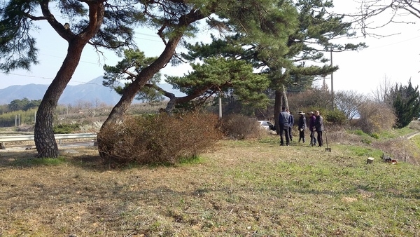 진원면 산정리 수촌마을 가로화단 (흙고르기) 이미지 3