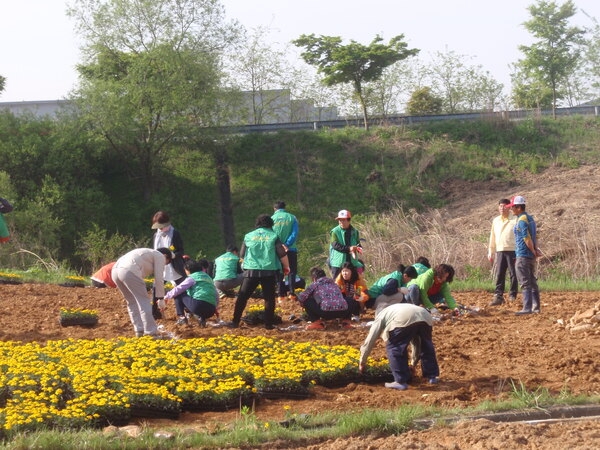 동화면새마을협의회,부녀회+면직원이 함께 한 예쁜 꽃동산 조성  이미지 2