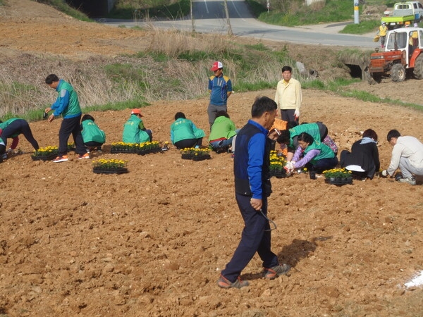 동화면새마을협의회,부녀회+면직원이 함께 한 예쁜 꽃동산 조성  이미지 1