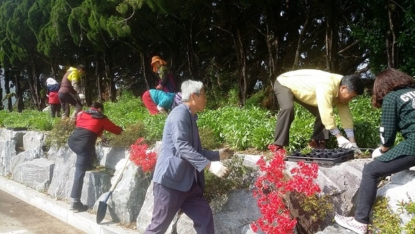 전문건설협회와 함께 금계국 화단 조성_2 이미지 2