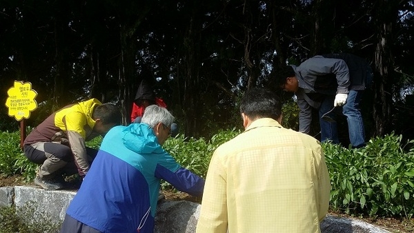 전문건설협회와 함께 금계국 화단 조성_2 이미지 3