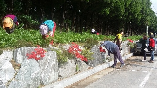 전문건설협회와 함께 금계국 화단 조성_2 이미지 1