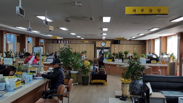 이럴수가!! 읍 청사가 언제 이렇게? 이미지 1