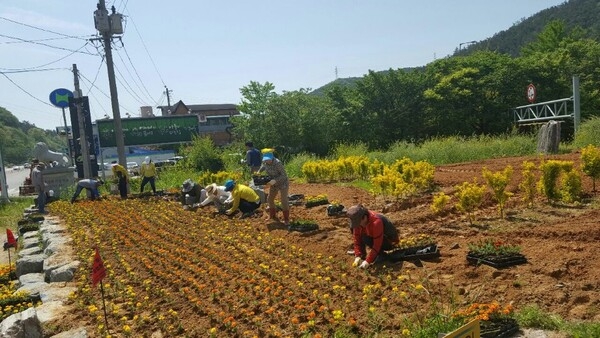 장성군 자율방범연합회, 옐로우시티 꽃동산 가꾸기♥ 이미지 2