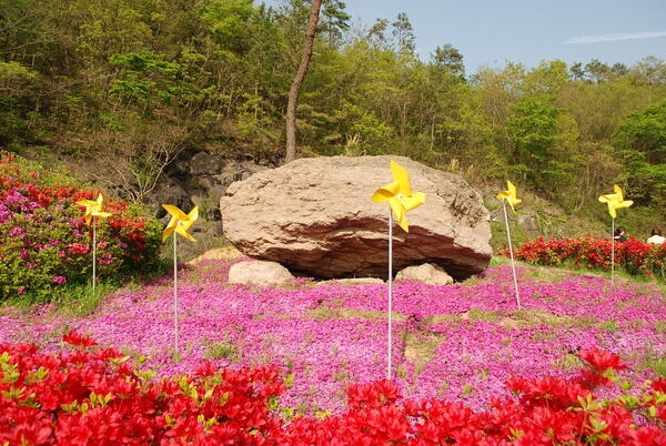 북일면 고인돌과 꽃동산 구경오세요~ 이미지 4