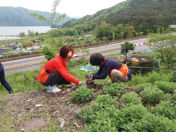 곰재가로화단 거번너스회화나무 식재(여성자원봉사회) 이미지 2