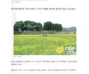 NSP통신으로 보는 북이면...