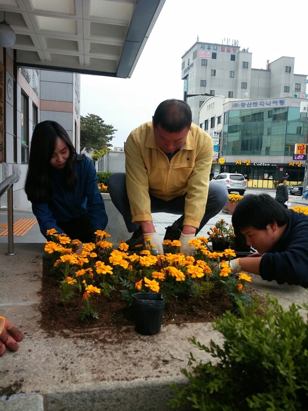 민원봉사과 입구화단 꽃심는 중 이미지 1