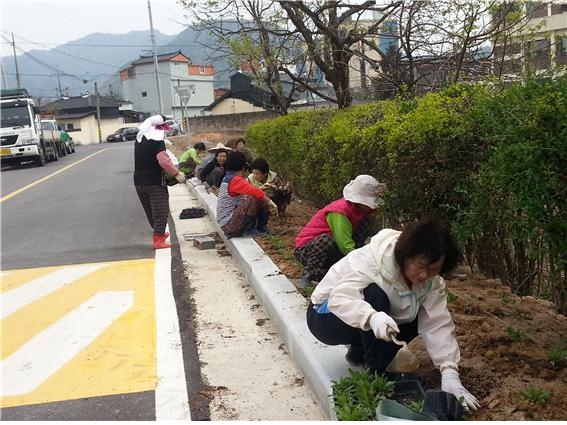 수산리 메리골드 및 금계국 식재 이미지 3