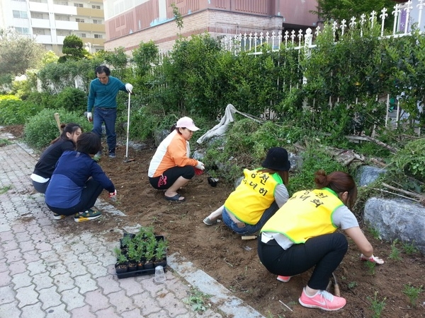 충무3동  메리골드 식재 이미지 1