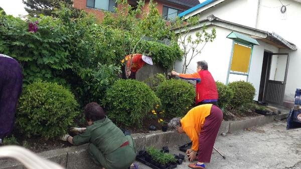 삼가1동 주민들이 직접  심었습니다. 이미지 3