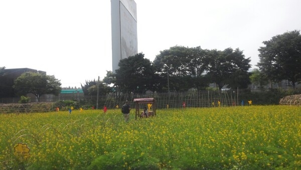 외국인도 찾아오는 명소 이미지 2