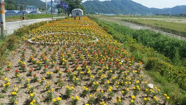 북일면 3대거점지역 중 중심부 박산사거리입니다~ 이미지 1