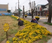 옐로우시티 동화면 가꾸기 ...