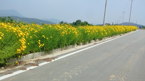 북이면 궁동마을 길 이미지 2